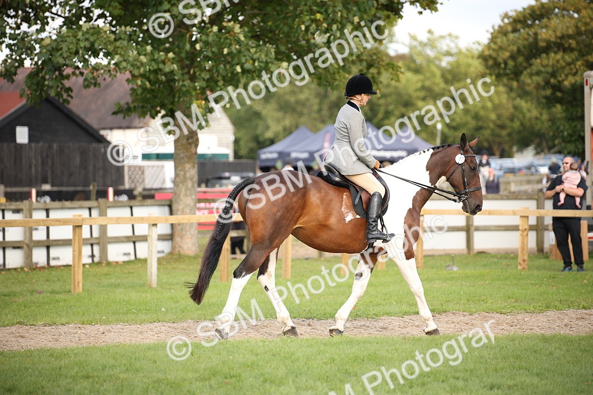 SBM_50198 - S26 - Young Veteran - Ridden