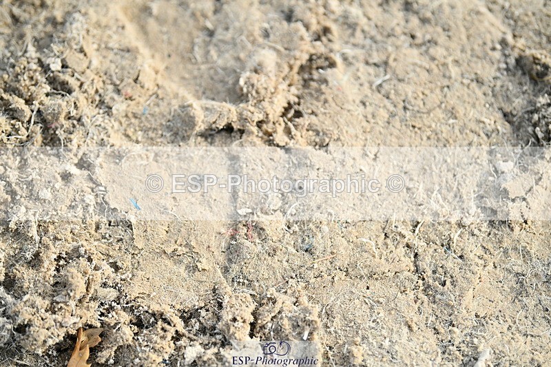 251004A-154800-01985 - Classes 8 & 9 70cm