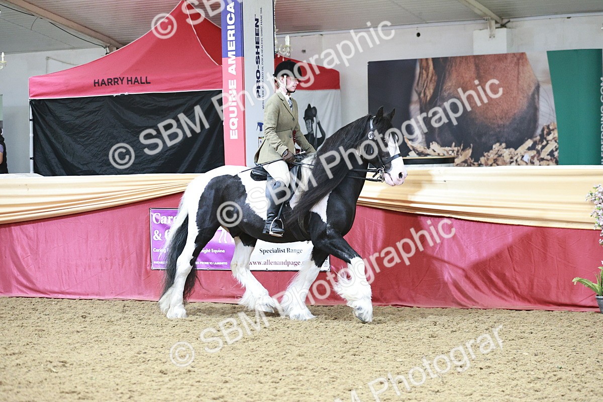 SBM_08629 - Regional Ridden Champ