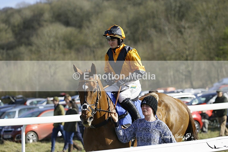 PtP 260222 444 - Kingston Blount Racing Club Point-to-Point 26/02/22