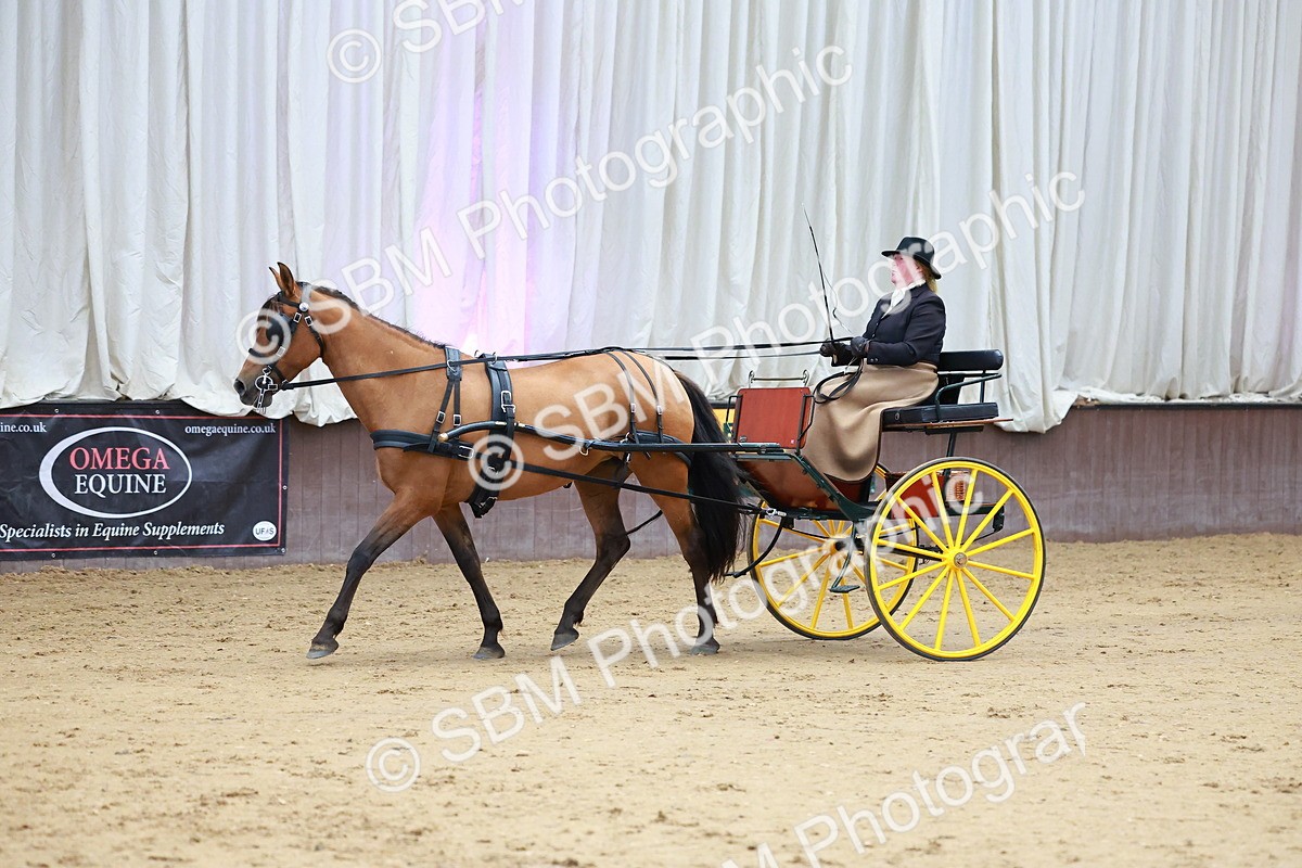 SBM_001061 - Class 15 - Open Showmans Class