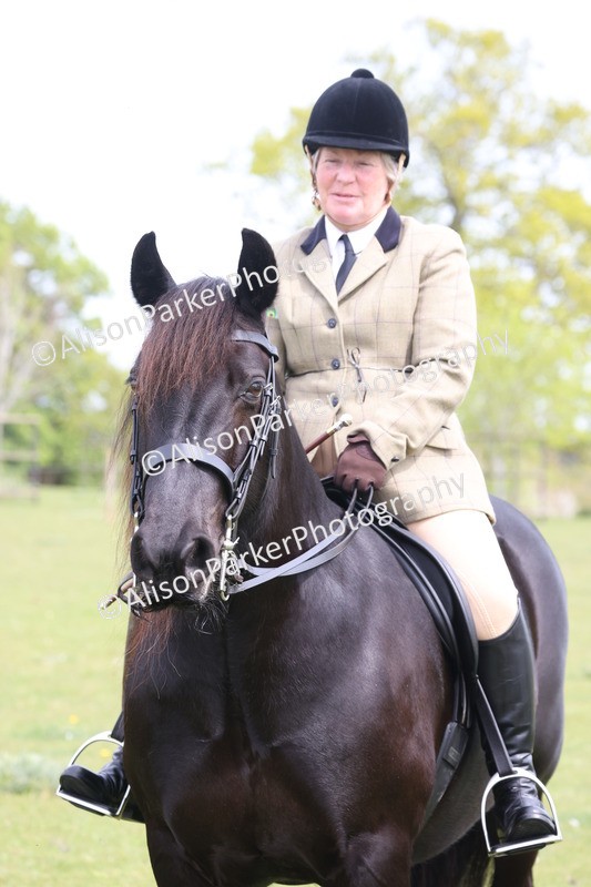 20260426-3042 - Class 33 - Best Pony 14.2hh and Under