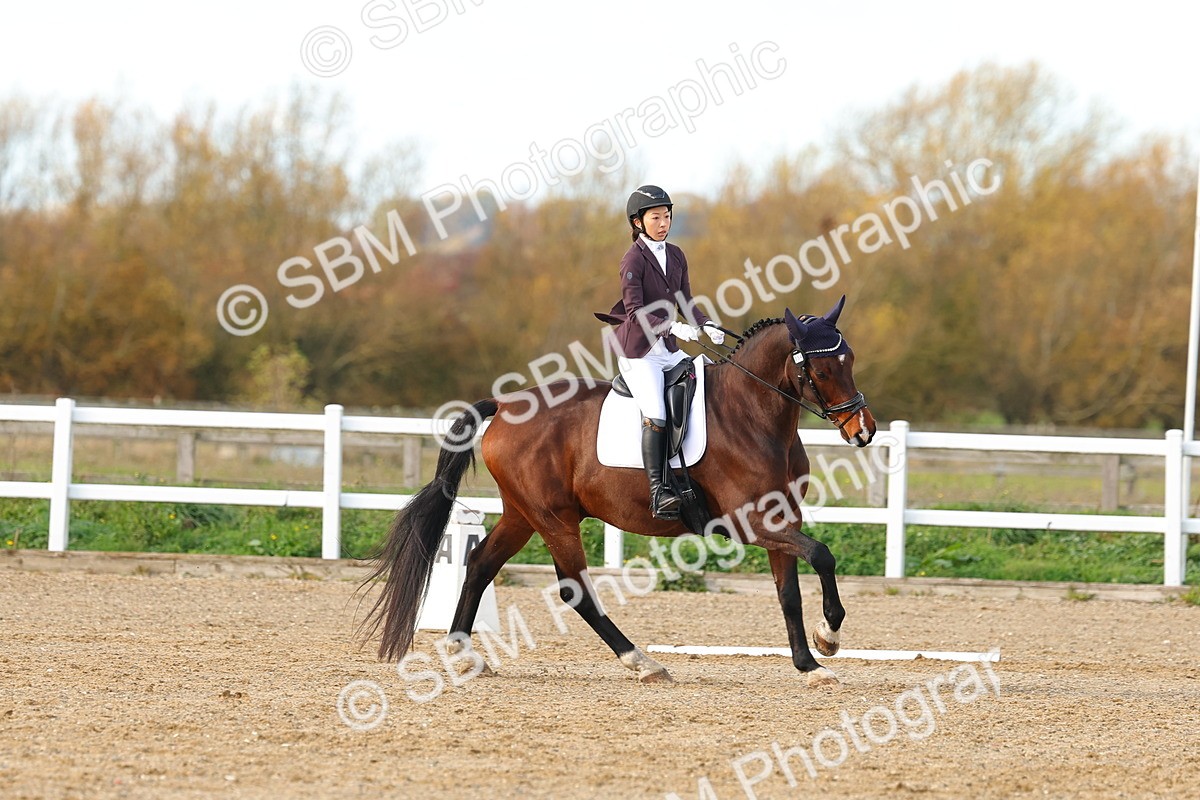 SBM_000849 - Novice 5
