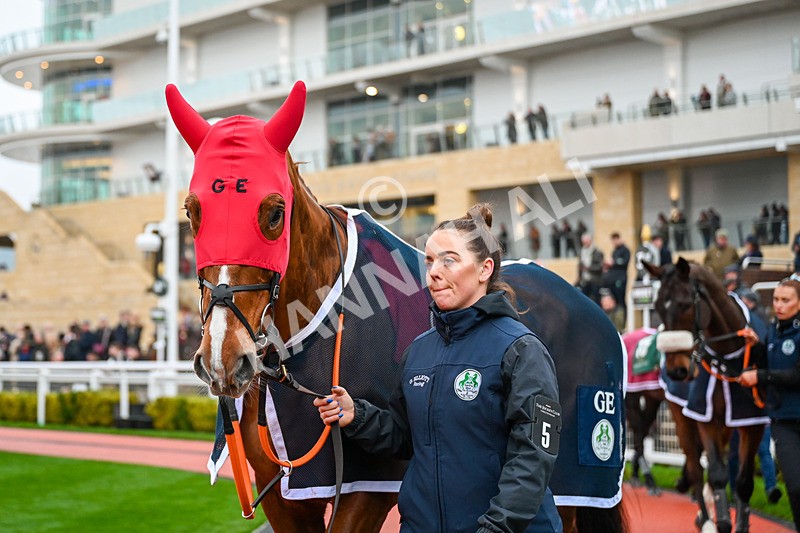131224-Race 6-Chemical Energy-9990 - Race 6