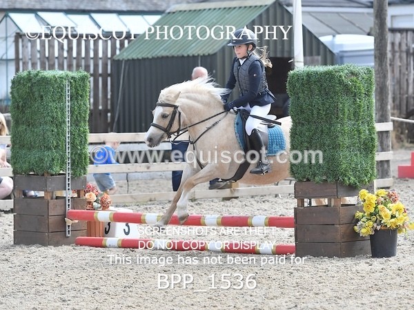 BPP_1536 - DERBY CLASS 3 - 40CM