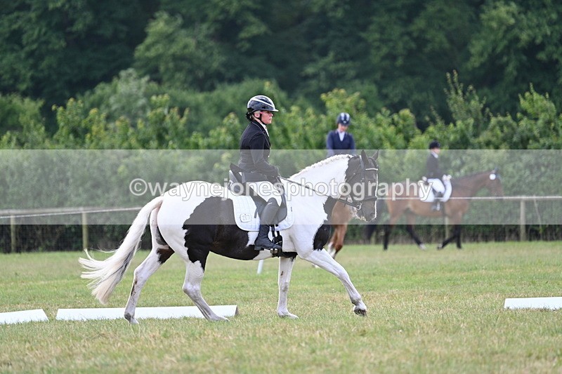 WJ7_5262 - Time 11:22 to 11:51