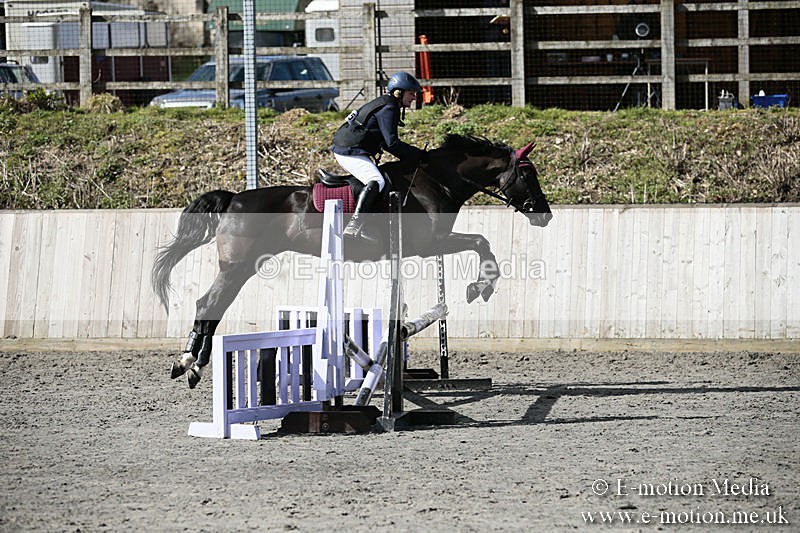 BVRC SJ 170319 187 - Bourne Valley Riding Club Showjumping 17/03/19
