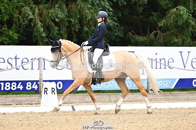 240811-122941-05849 - 301-Sophia.Longworth-Don.Deluxe