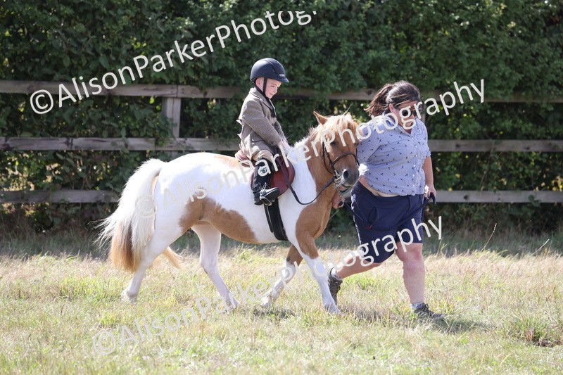 20260906-2806 - Class 25 - Absolute Beginners Pony