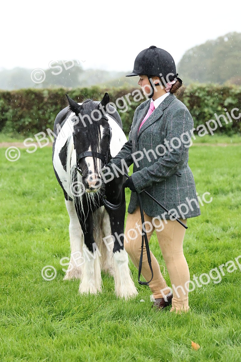 SBM_35360 - S10 - Best In Hand Horse & Pony