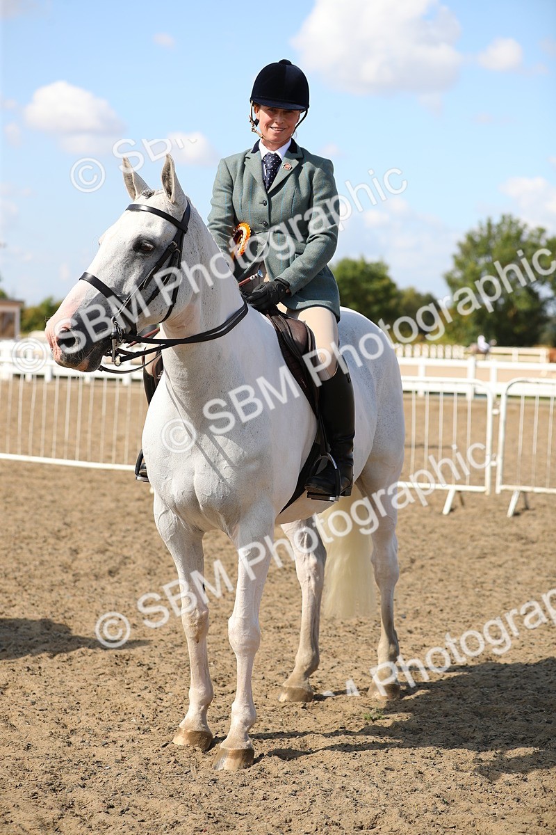 SBM_03278 - Class 44 Riding Club Horse/ Pony