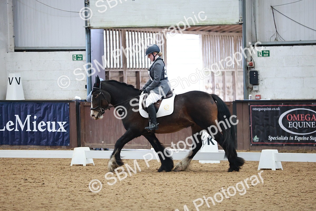 SBM_003846 - Class 2 - Novice 2020