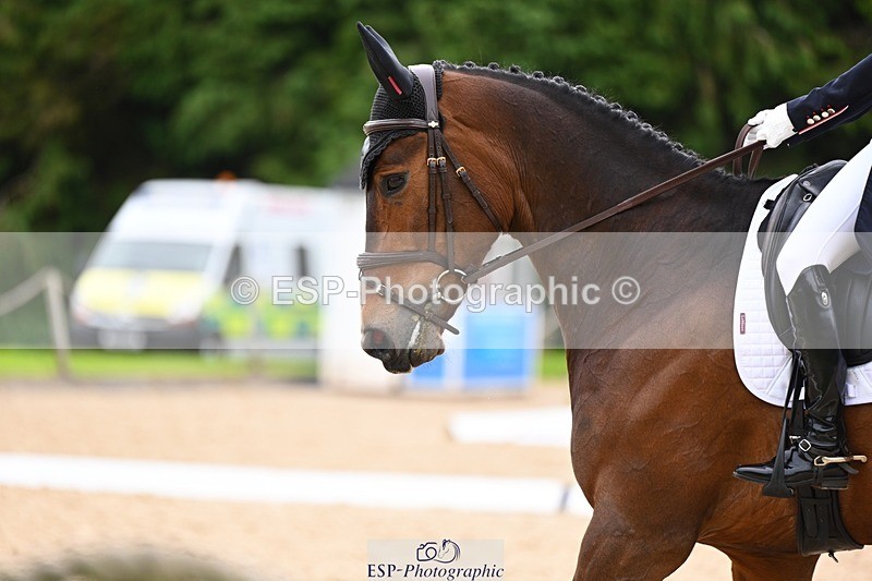 240524-091806-07780 - 504-LORDSHIPS_GRAFFALO-Rosalind_Canter