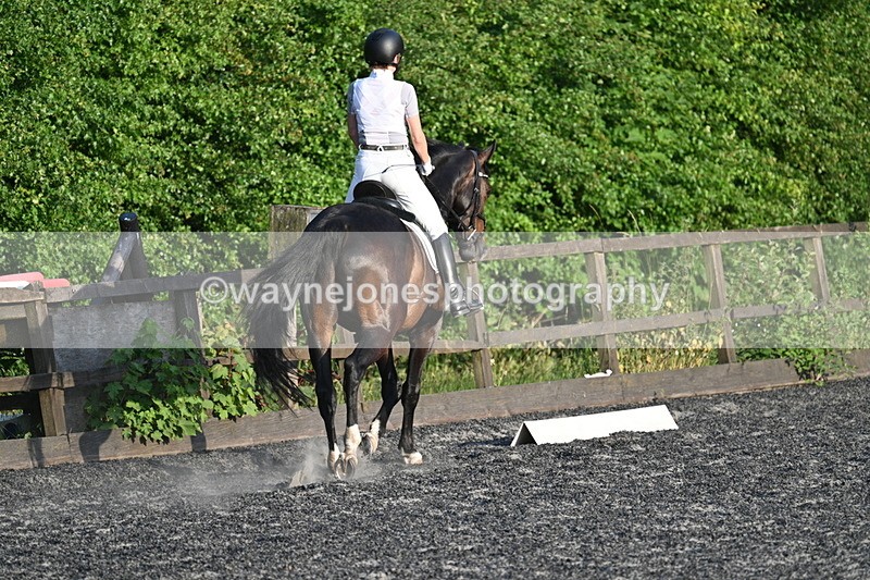 WJ7_0428 - Time 19:38 to 20:00