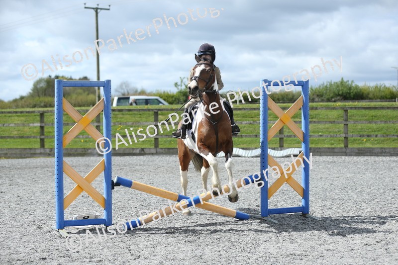 20260412-0732 - Show Jumping