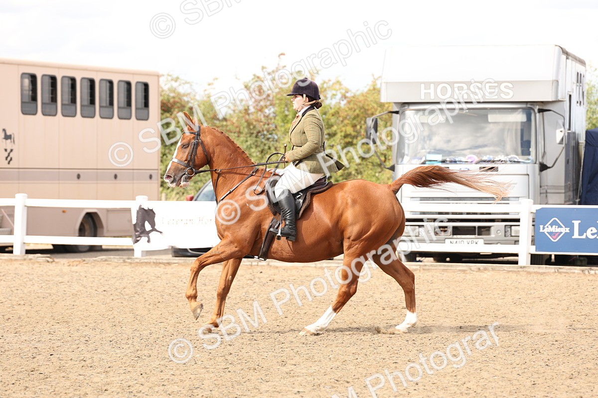 SBM_07445 - Class 59a -  Style & Performance - 80cm (15-19)