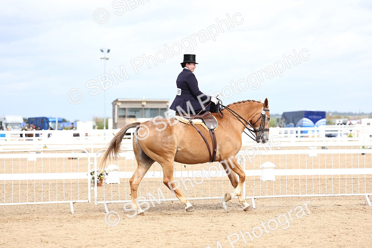 SBM_03417 - Class 24 - SSA Concours d'elegance (any age)