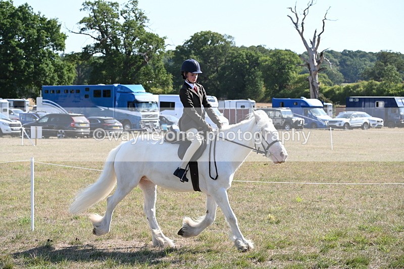 WJ6_7478 - Class 34 Judges Choice