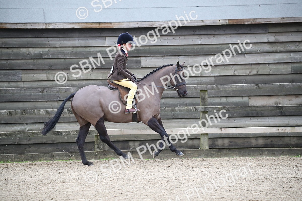 SBM_004622 - Class 5-9 - NPS In Hand-Show Hunter-Intermediate Ridden Inc Ridden Championship