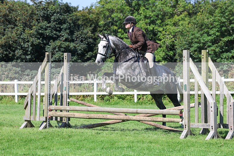 3E7A8276 - Class 4: Novice working Hunter