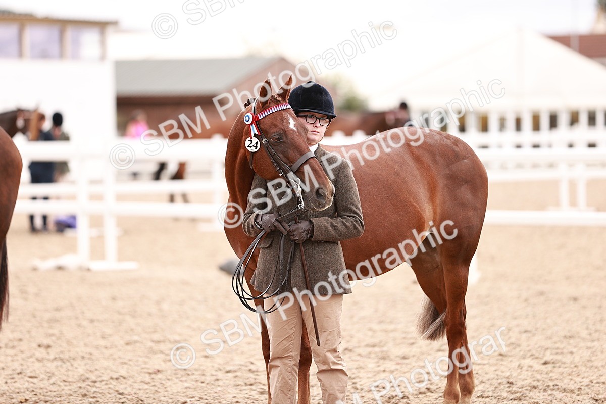 SBM_16355 - Class 413 - Best Condition - Adult