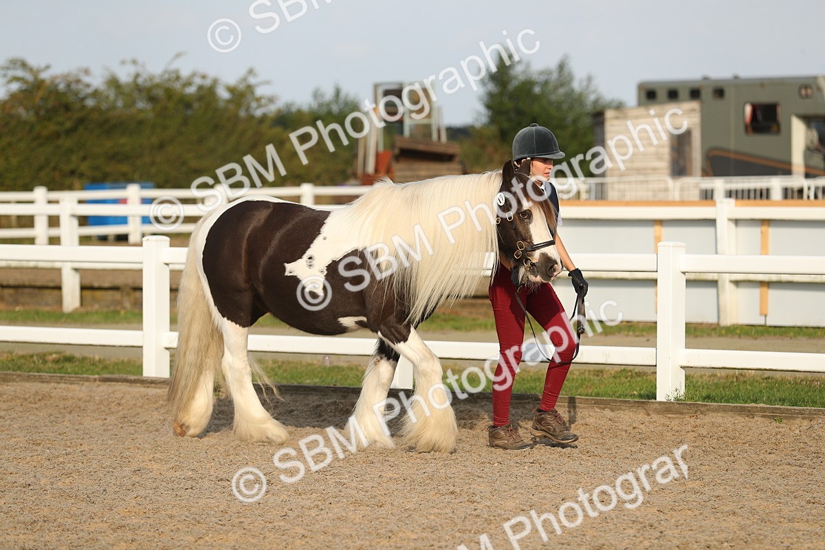 SBM_08897 - Class 29 IH Veteran Pony