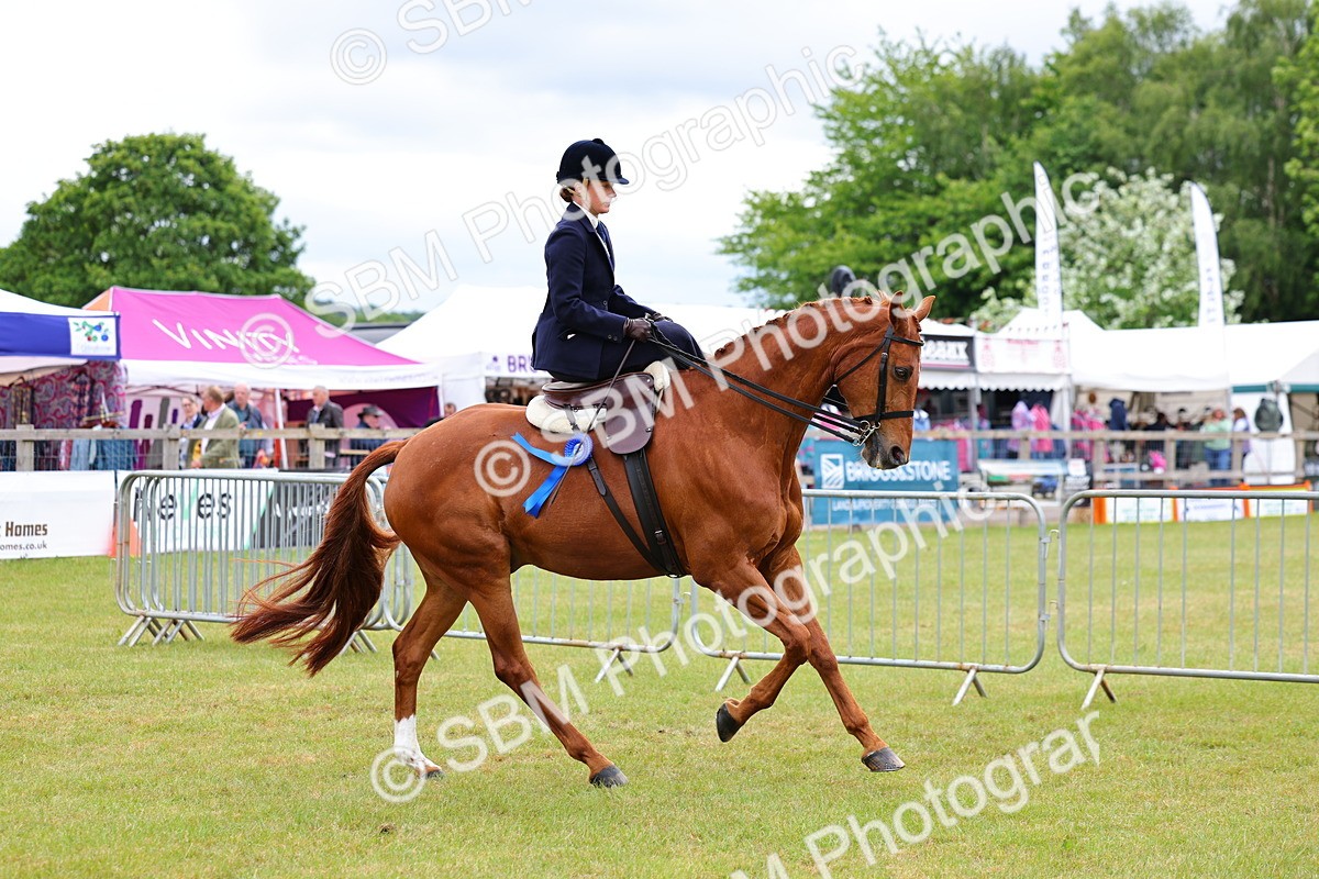 SBM_02982 - Class 9-11 Side Saddle including LIHS Rising Star Ladies Show Horse