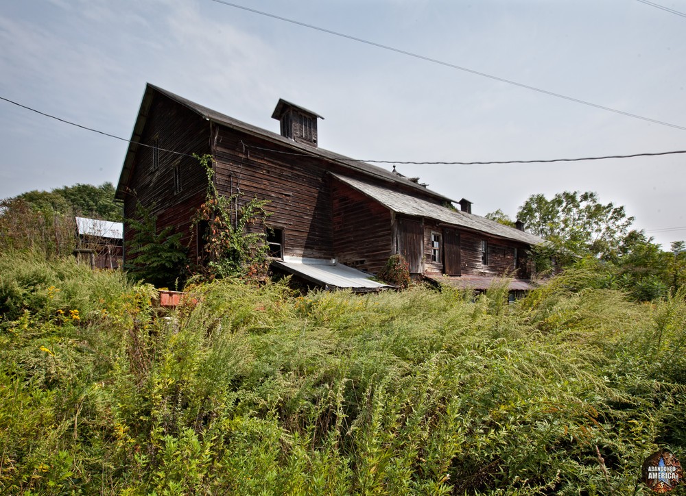 Abandoned Farm | Stinging Nettles - Abandoned Houses and Homes