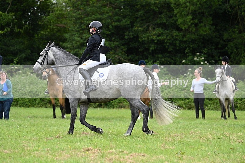 WJ7_3969 - Class 14A Handsome Gelding