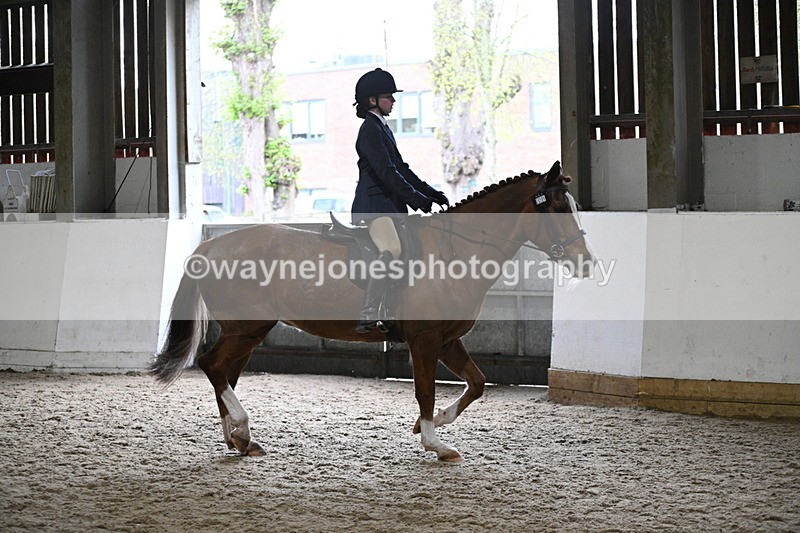 WJ7_3777 - Class 17 Ridden Cob