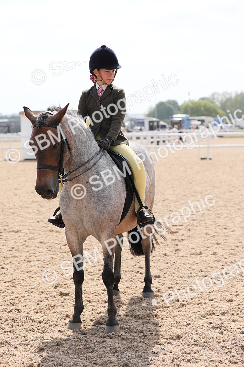 SBM_14729 - Class 310 First Ridden Pony