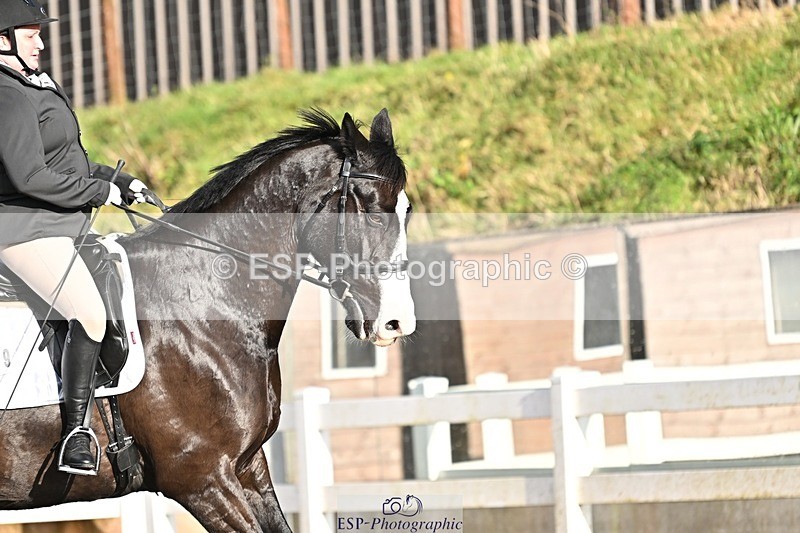 241214-125235-01746 - 119-Rosey.Bradburn-High.Spirits.II