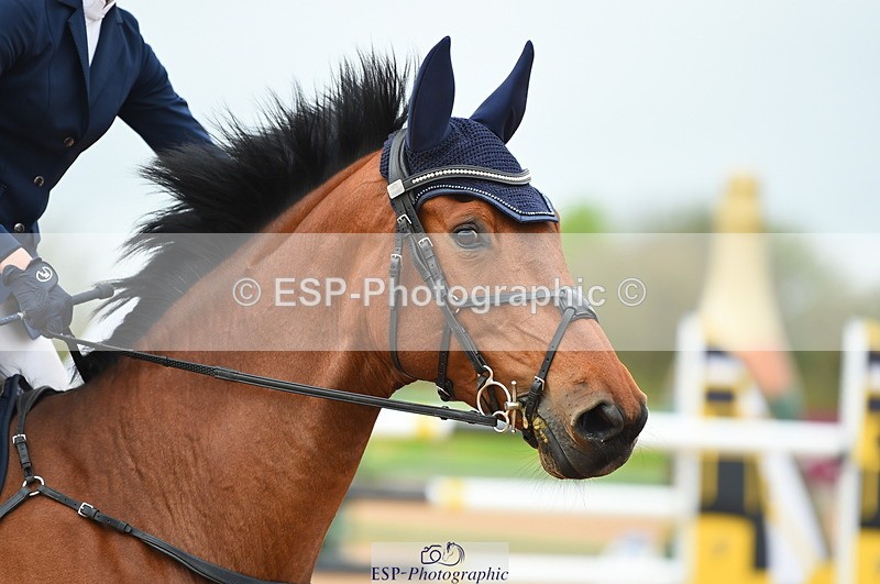 230505A-132226-04223 - Cls 22 Talent Seeker & 7 year old Quali