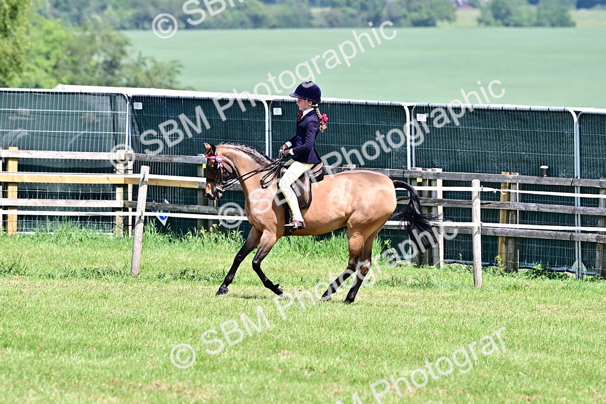 SBM_13991 - Class 95-97 - BSPS LHS Performance Ponies