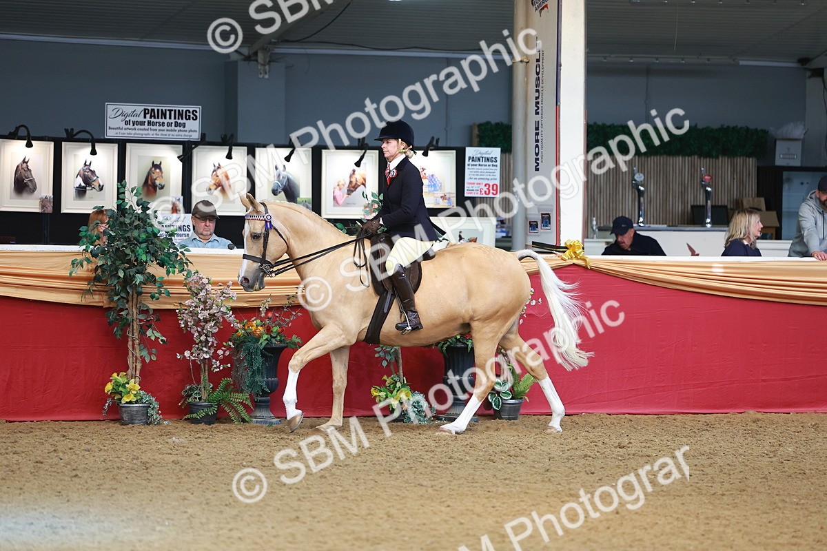 SBM_09723 - Class 102 - HOYS Veteran Qualifier - Ridden Veteran