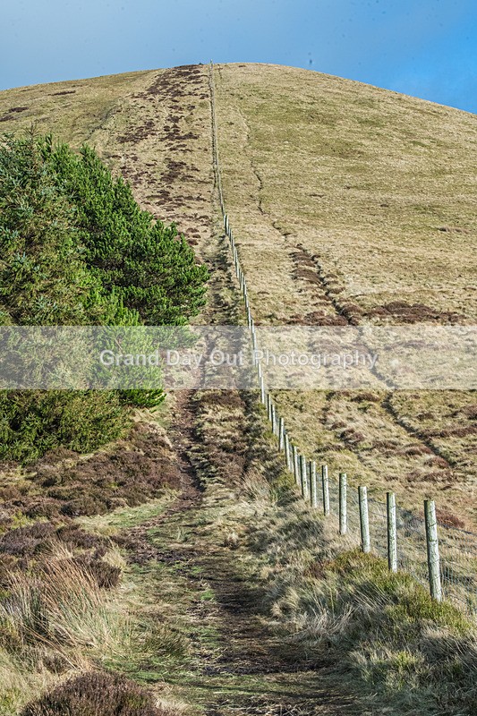 Blake Fell-964 - Blake Fell Race Saturday 25th January 2025