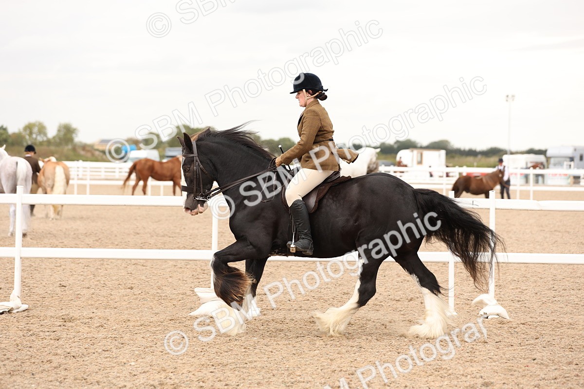 SBM_19695 - Class 216 - Ridden Traditional - Native Cob