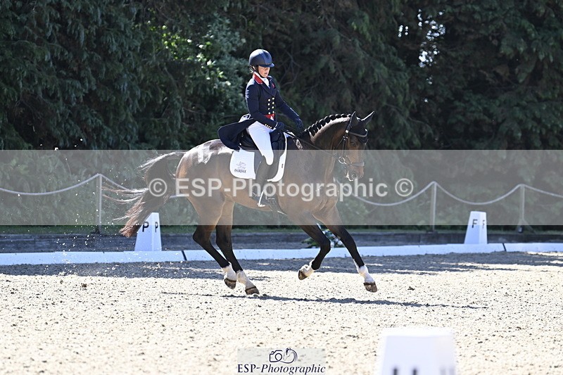 250522A-101231-02636 - B-310-Kitty.King-LISCARROW.FERNHILL