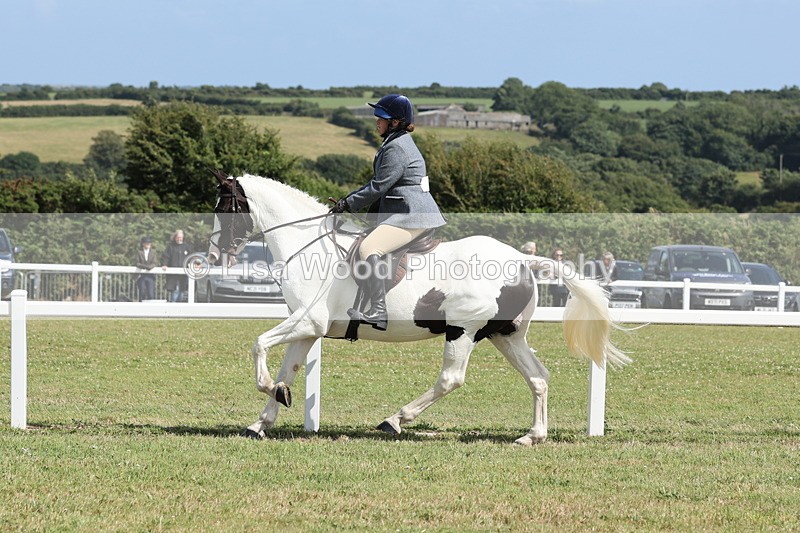 JPP_2329 - Class 19: Working Hunter 60cm