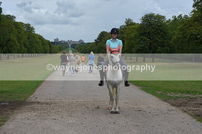 TT3_9882 - Time at Crossing 11:28 to 13:16