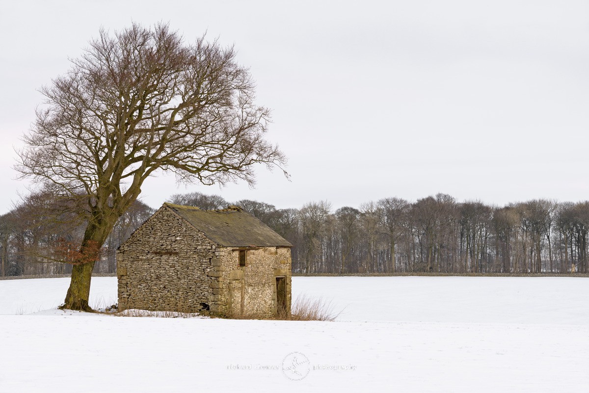 Long Rake barn II - White Peak Field Barns