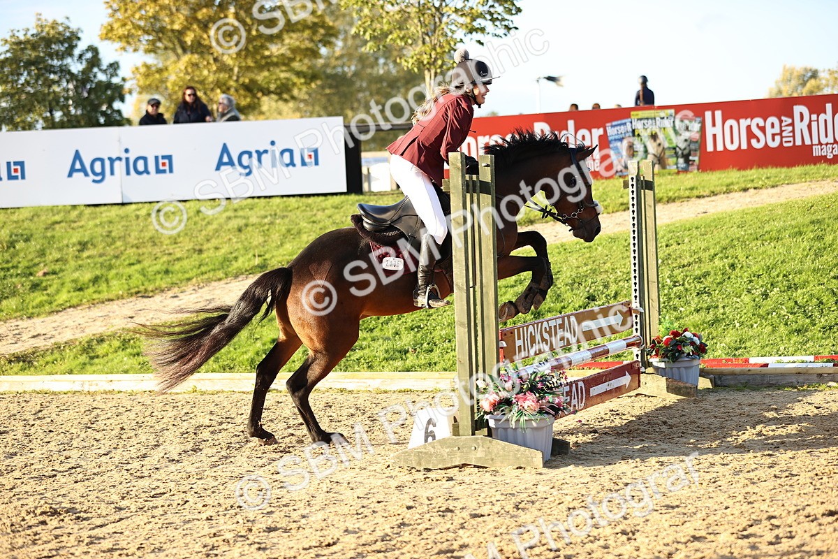 SBM_54279 - Supreme Championship 70cm 75cm