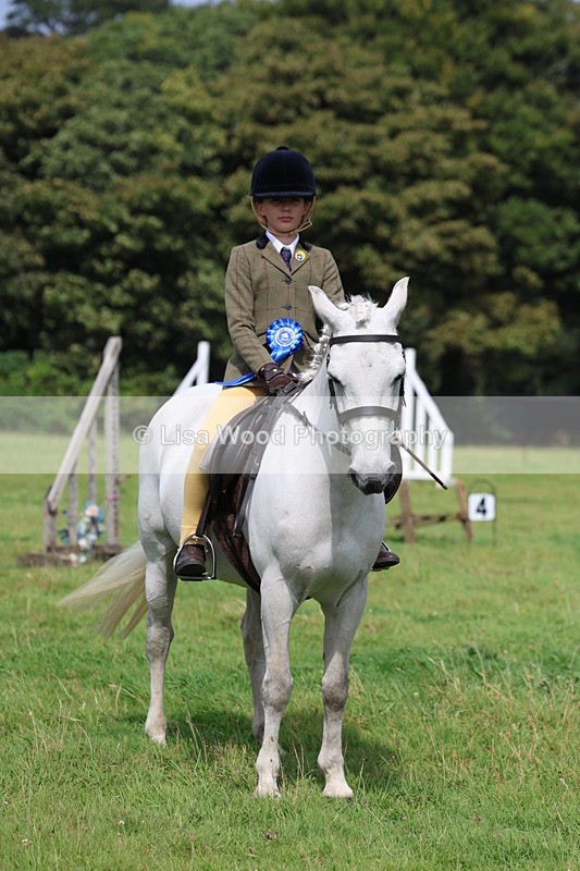 3E7A5923 - Class 26 and 27: 70cm Working Hunter