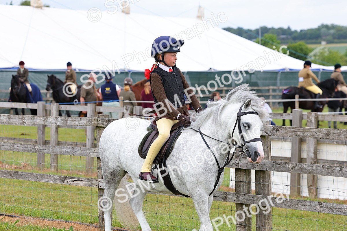 SBM_08459 - Class 42-43 - LIHS BSPS Heritage Working Sports Pony