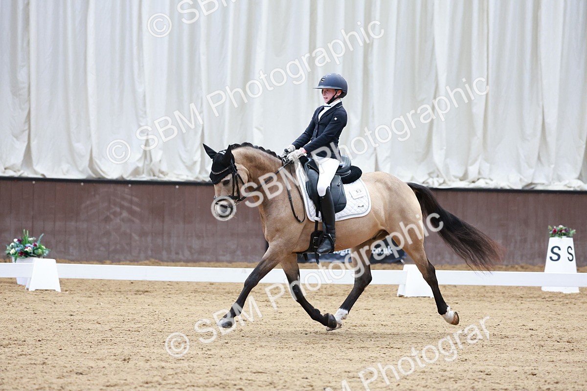 SBM_017224 - Class15 - FEI Pony