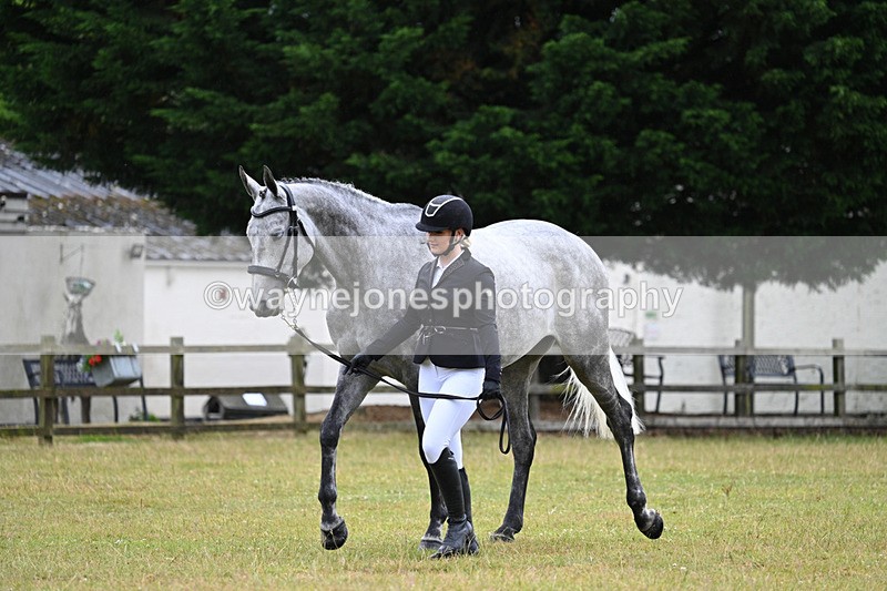 WJ7_6221 - Class 4a Prettiest Mare over 14hh