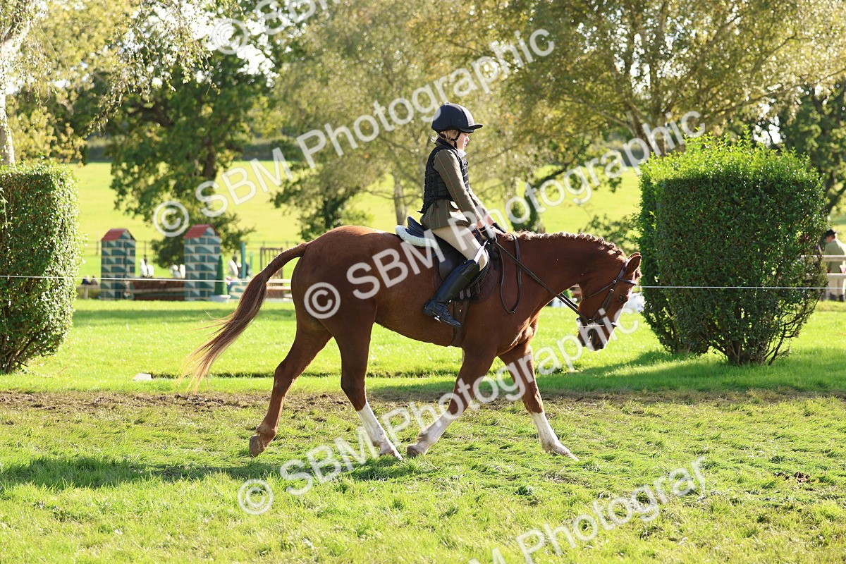 SBM_52382 - S13 - Pony Club Pony