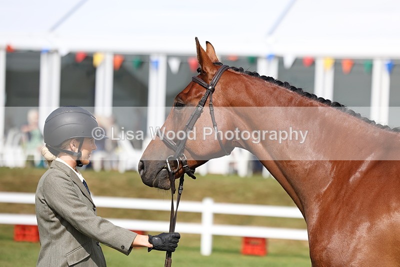 3E7A9010 - Class 3: Rising Star S/L Hunter