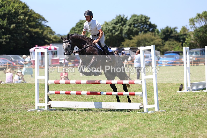 3E7A5446 - Class 9: Senior British Novice/90cm open