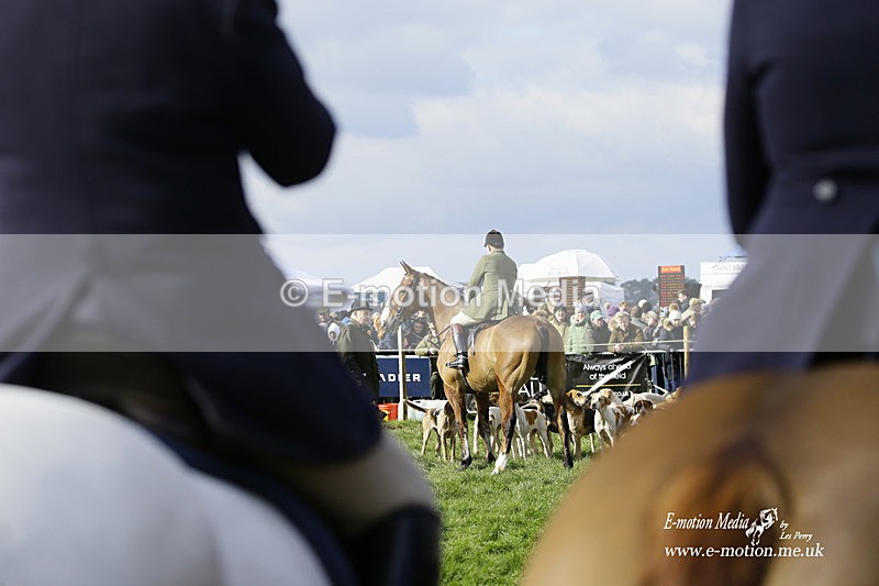 PtP 060322 293 - Blackmore & Sparkford Vale Hunt PtP 06/03/22